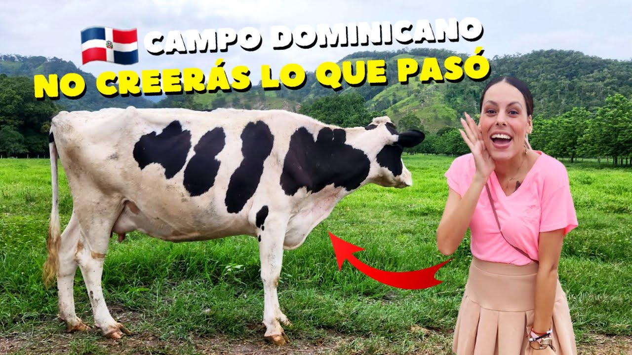 🤯🇨🇺Cubana VISITA POR PRIMERA VEZ una GANADERÍA en República Dominicana| NO lo puedo creer.