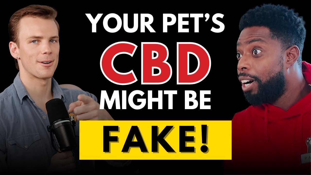 CBD for Pets: Health Benefits & Everything You Need to Know So You Don’t Get Scammed