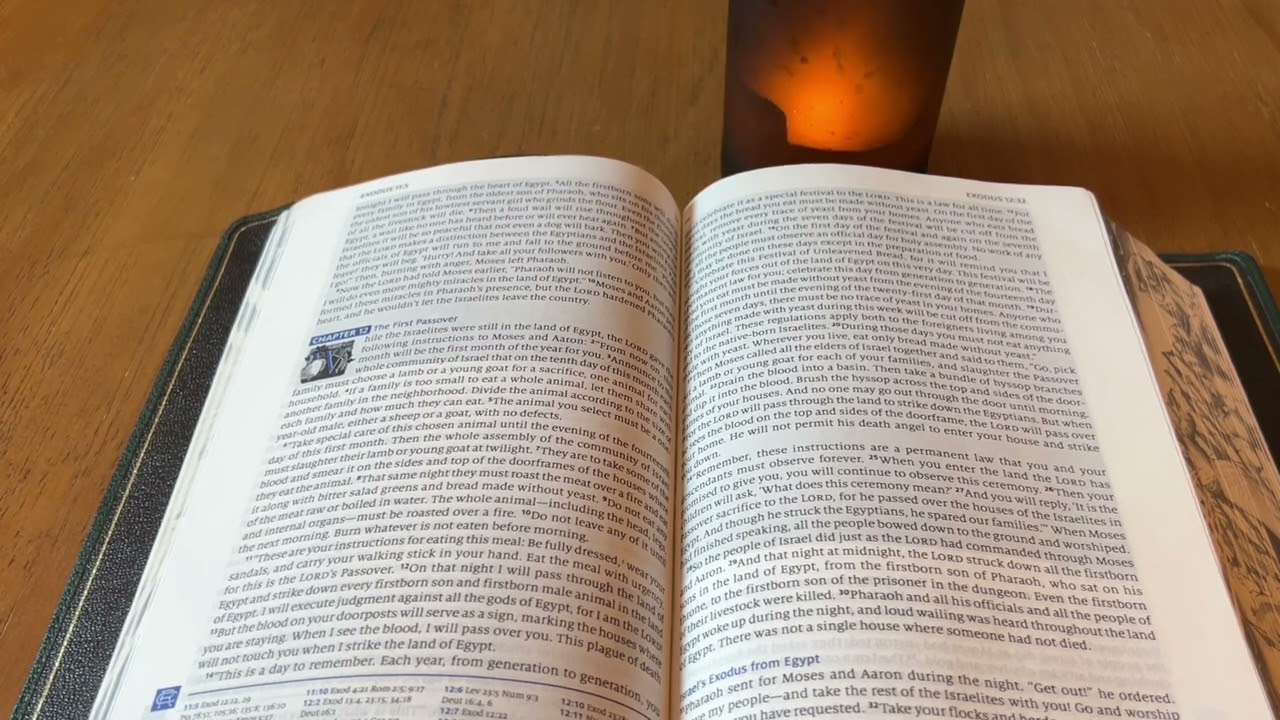 Read the Bible in a Year - Day 62