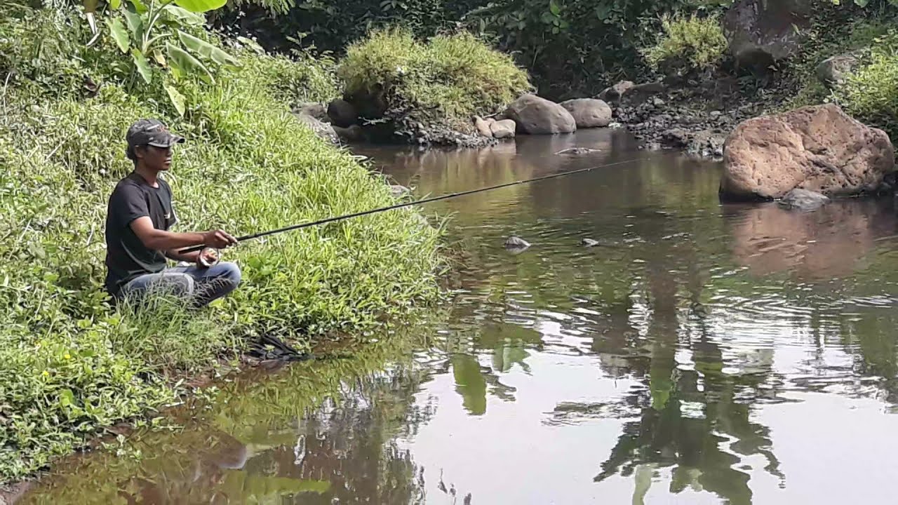 Mancing Mania Mantap Purbalingga Jawa Tengah