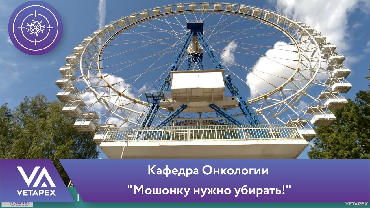 Кафедра Онкологии Мошонку нужно убирать!
