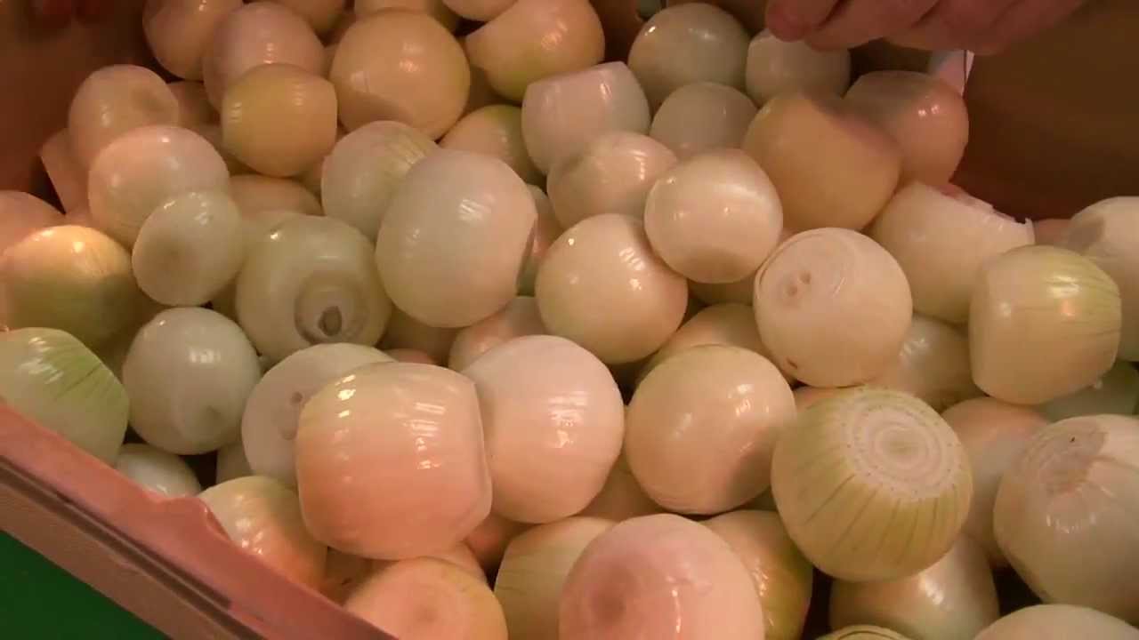 M&P - Peladora de Cebollas continua por soplado con aire.