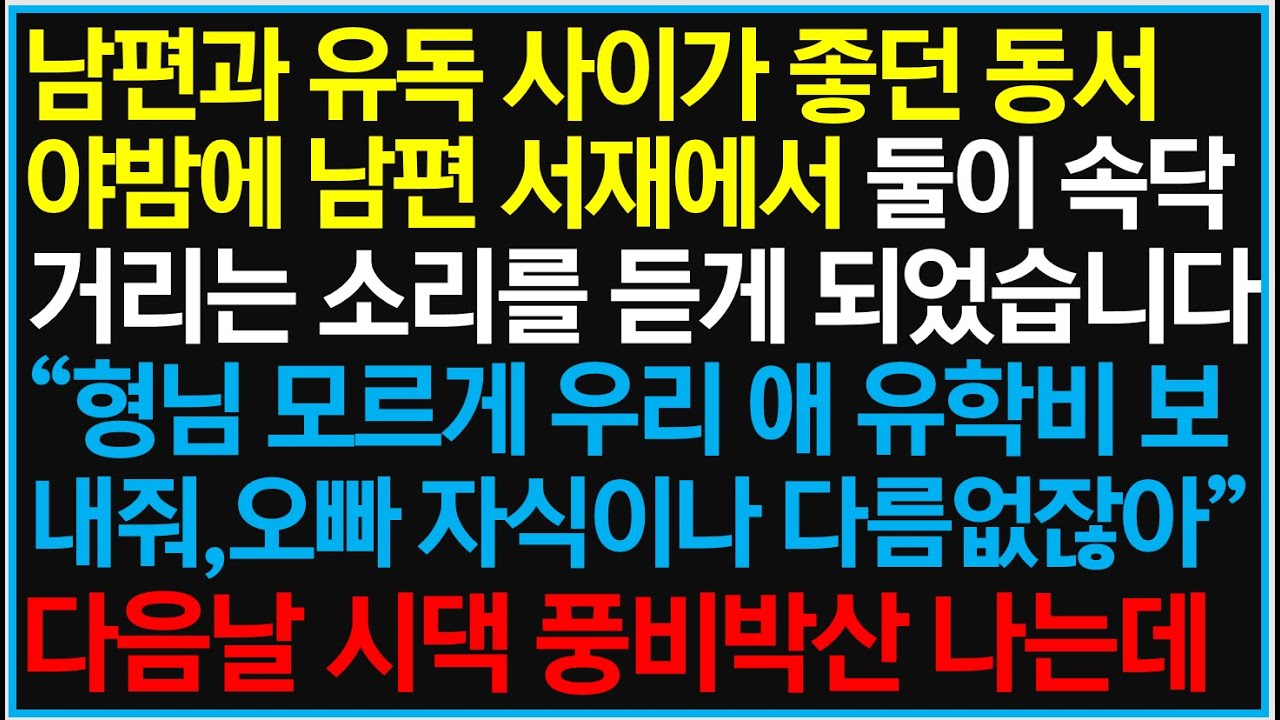 [반전사이다사연] 남편과 유독 사이가 좋던 동서, 야밤에 남편 서재에서 둘이 속닥거리는 소리를 듣게 되었습니다!! 그 때 시댁이 풍비박산 나는데  /라디오드라마/사연라디오/신청사연