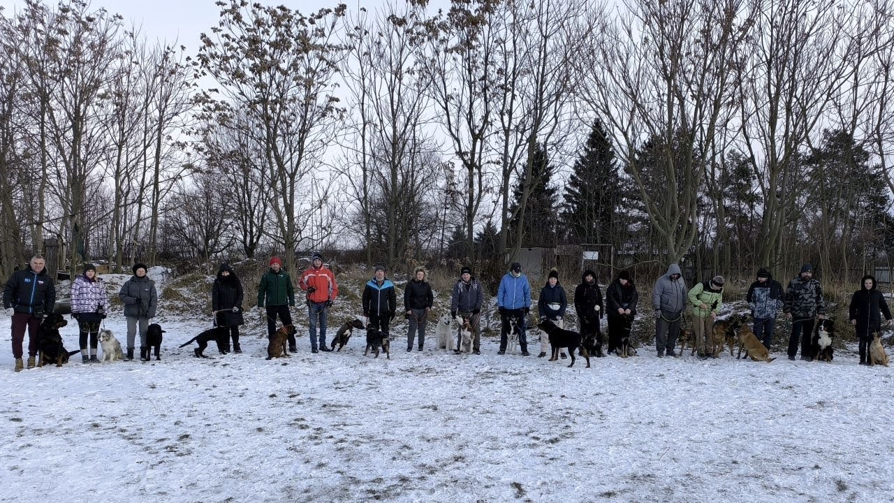 Kynologicky klub SMILE of DOG - Nové Mesto nad Váhom.