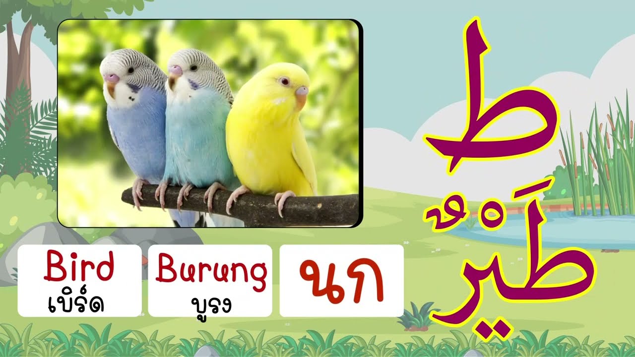 Alif Ba Ta อลีฟ บา ตา