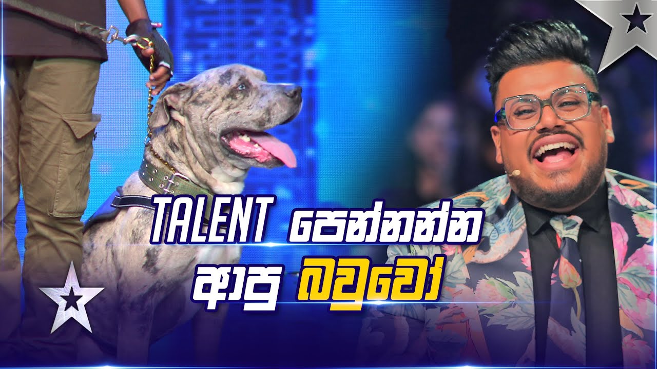 K9 Canine Agility Show Team | Sri Lanka's Got Talent S3 | Sirasa TV