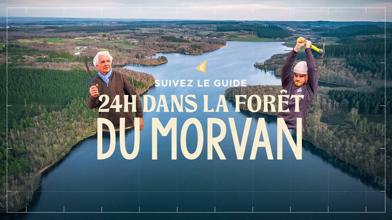 J'ai rencontré le Renard Blanc dans le Morvan !