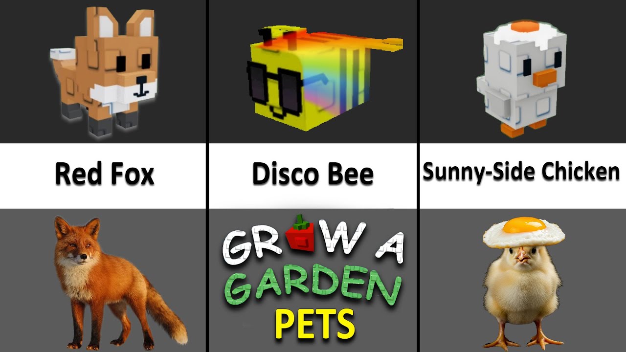Grow A Garden Roblox Pets VS Real Life | Funny Dylan Play