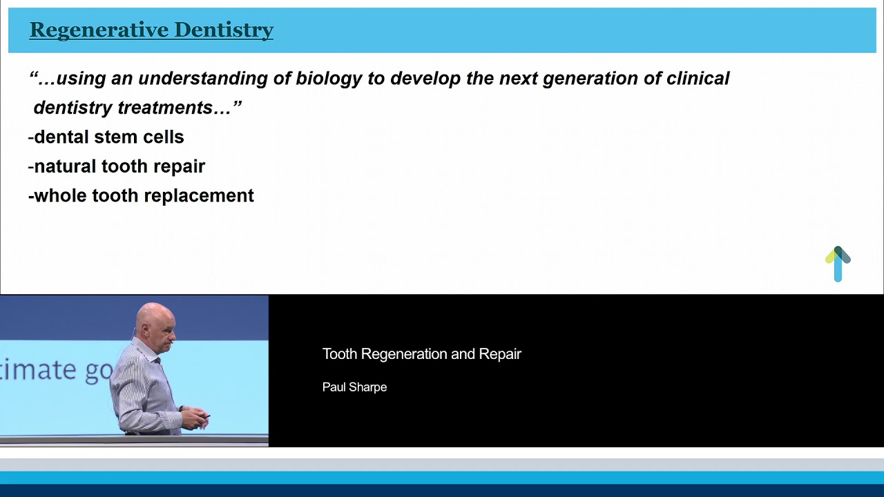 Tooth Regeneration and Repair | Paul Sharpe