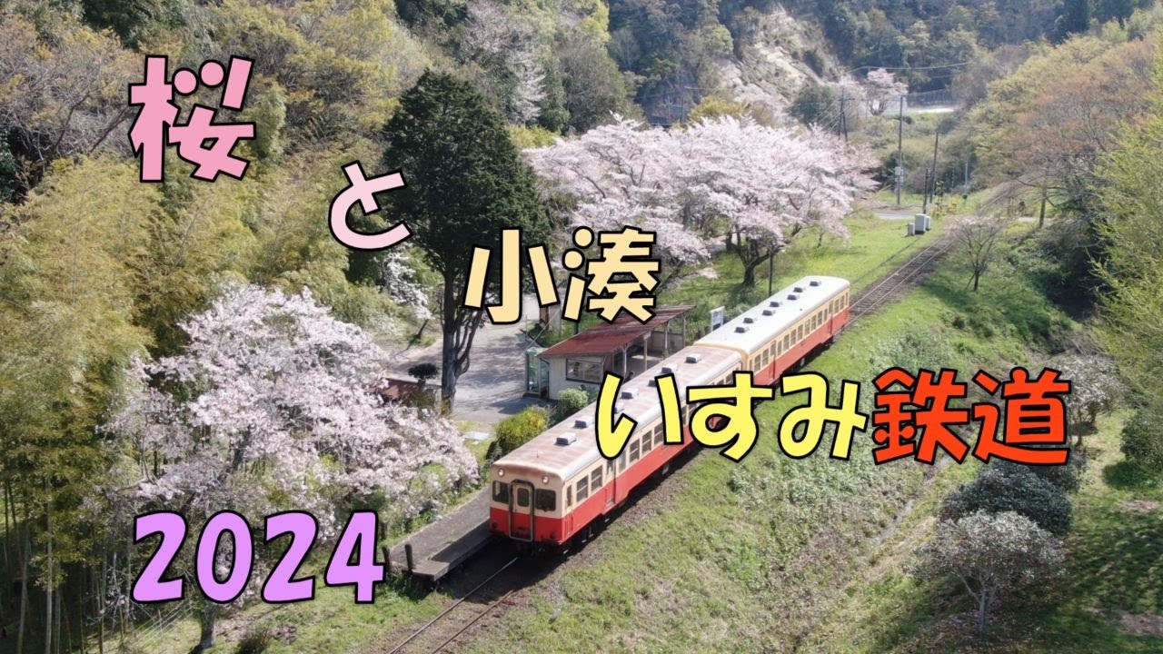 「桜と小湊・いすみ鉄道　2024」ひらっくチャンネルNEXT「秘境・絶景・昭和浪漫鉄道」シリーズ155