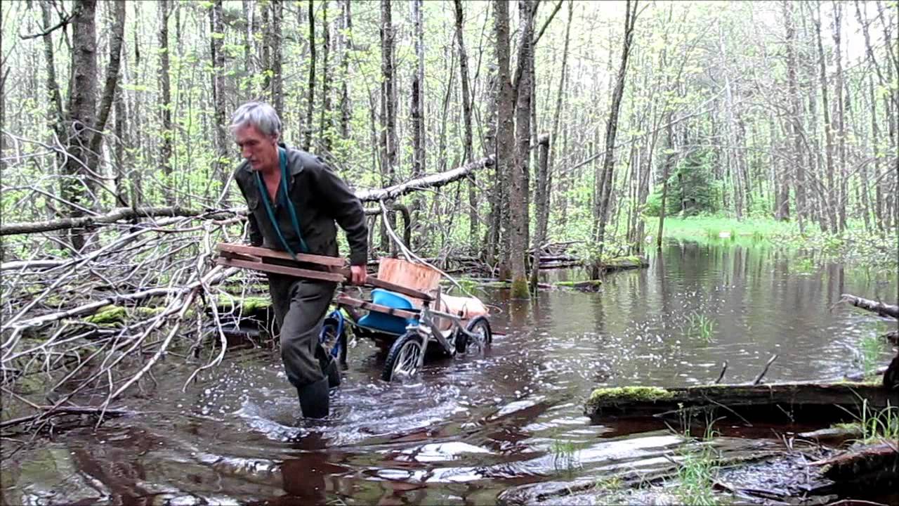 Martin's Old Off Grid Log Cabin #9A Respect for a very old Tamarack Tree