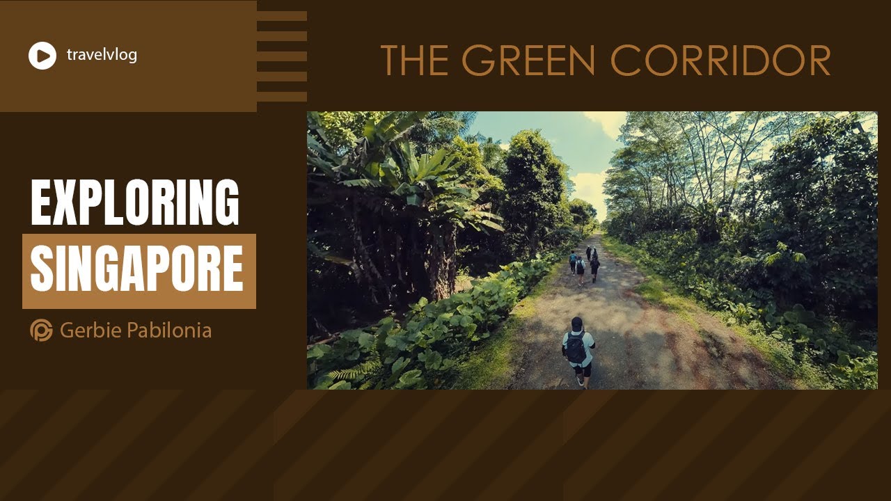 #singaporetravel 2024 / The Green Corridor / Best nature-based tourist spots