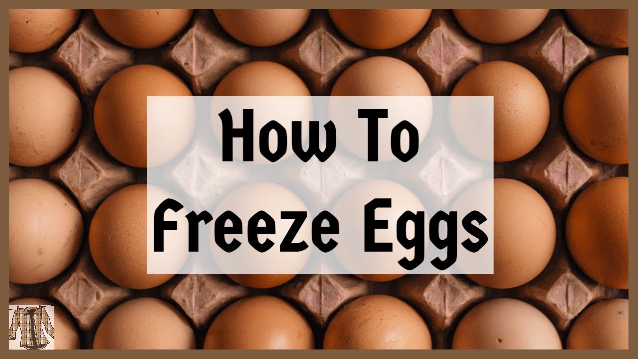 How to Freeze Eggs For Future Use