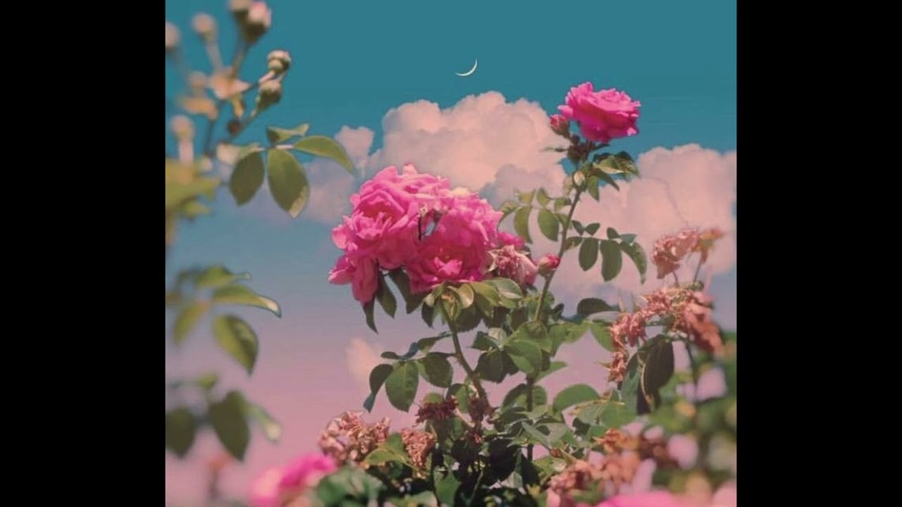 [FREE] keshi x daniel caesar type beat - 'something more'