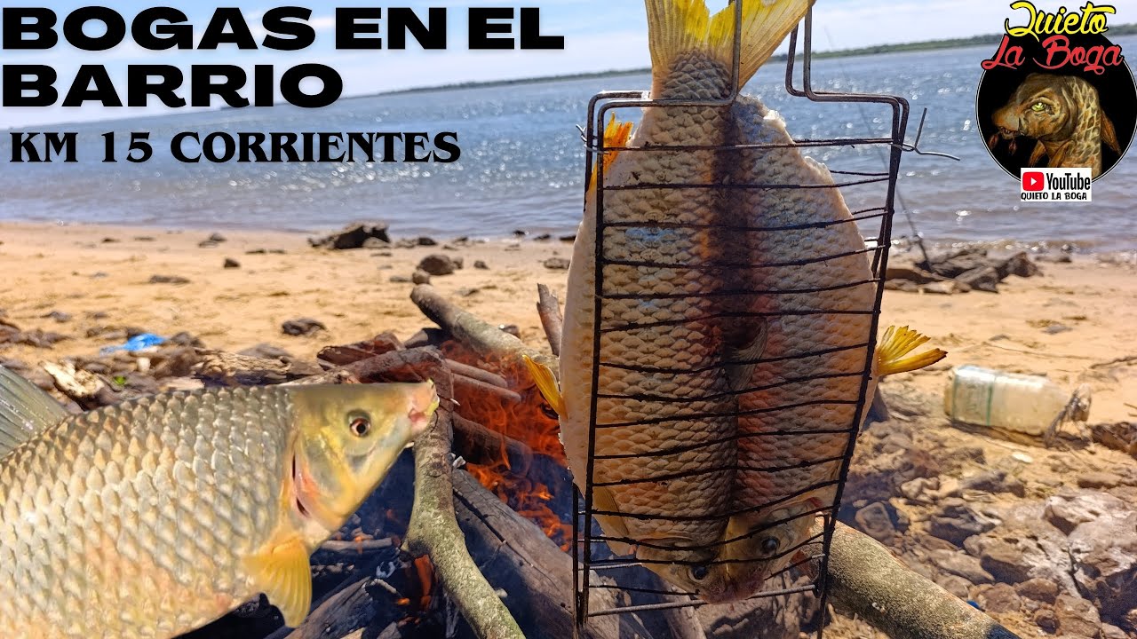 PESCA DE BOGAS EN EL BARRIO KM15 