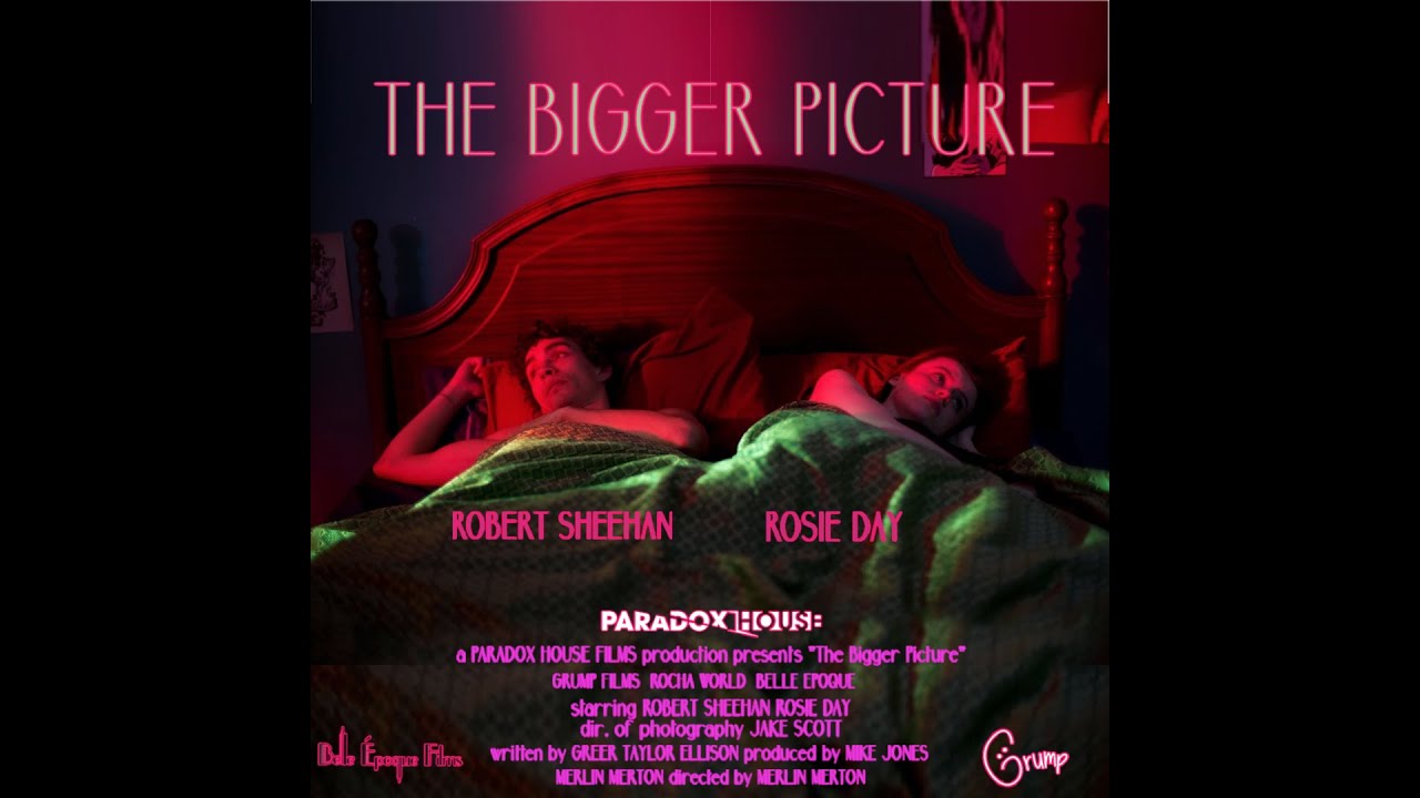 Robert Sheehan & Rosie Day in - 'The Bigger Picture'