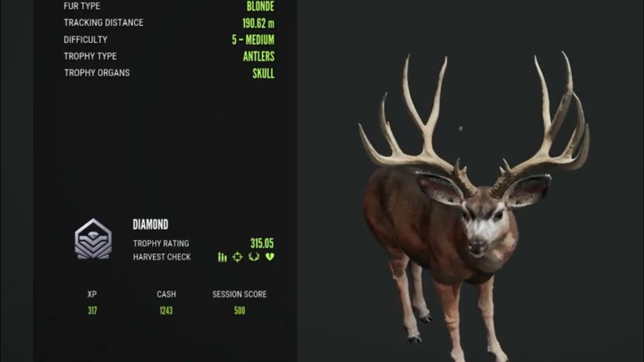 MASSIVE MULEDEER 