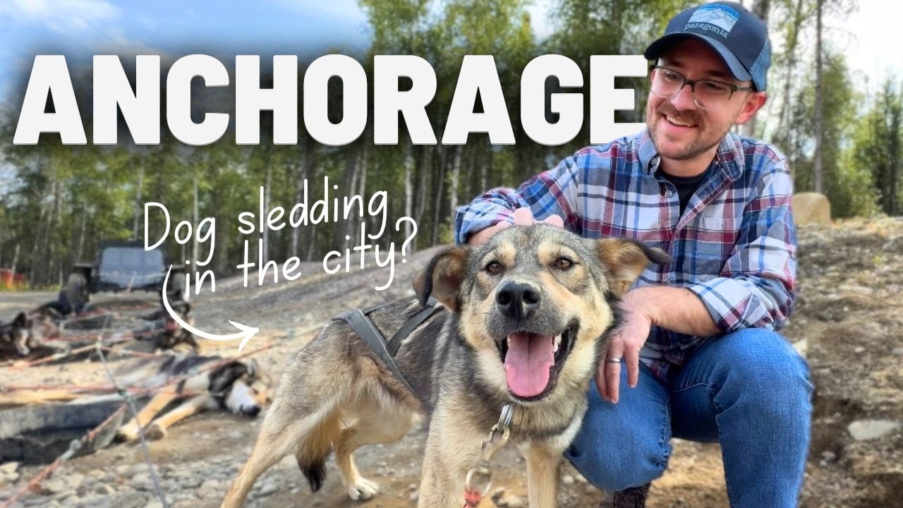 ANCHORAGE, Alaska Travel | Dog Sledding, Salmon Tacos, & More!