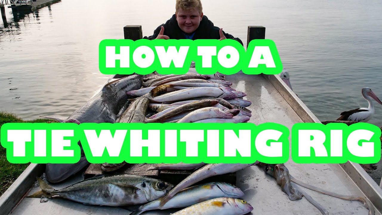 king George Whiting Rig Tie Your Own Easy & Fast