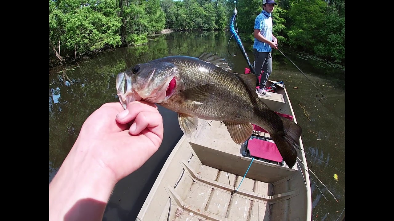 River Fishing for BASS!!! Ft. (Tchefuncte River) (Top Water Bites)