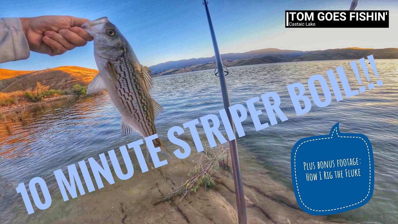10 Minute Striper Boil - Castaic Lake Fishing in 2023