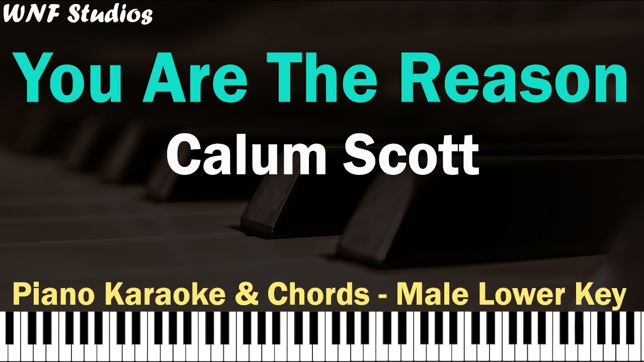Calum Scott - You Are The Reason Karaoke Lower Key (Tutorial Chord G)
