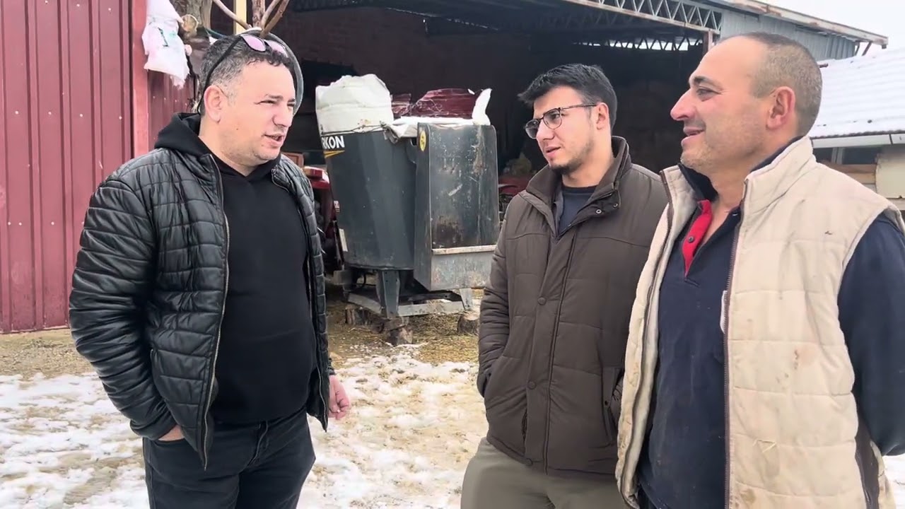 Besilik dana alım ve pazarlığı   