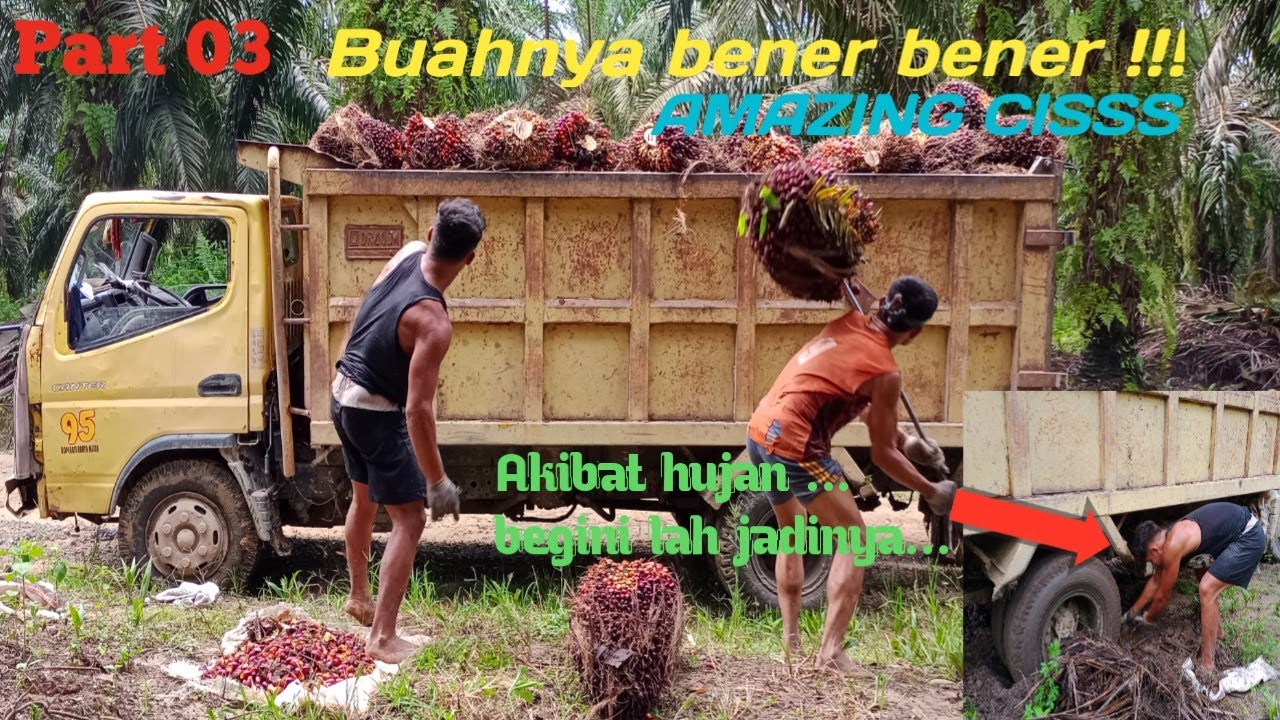Benar benar amazing buahnya???