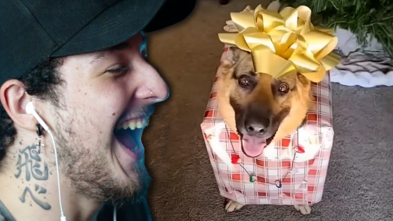 DAILY DOSE OF INTERNET NOVAMENTE (ft. @TibaLives @Veiin )