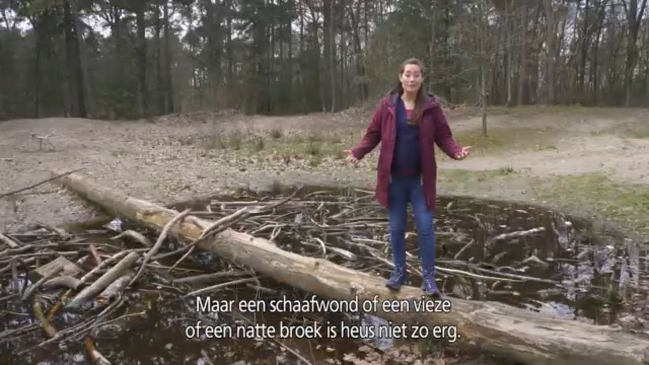 Hoe laat ik mijn kind uitdagend, maar veilig buiten spelen?