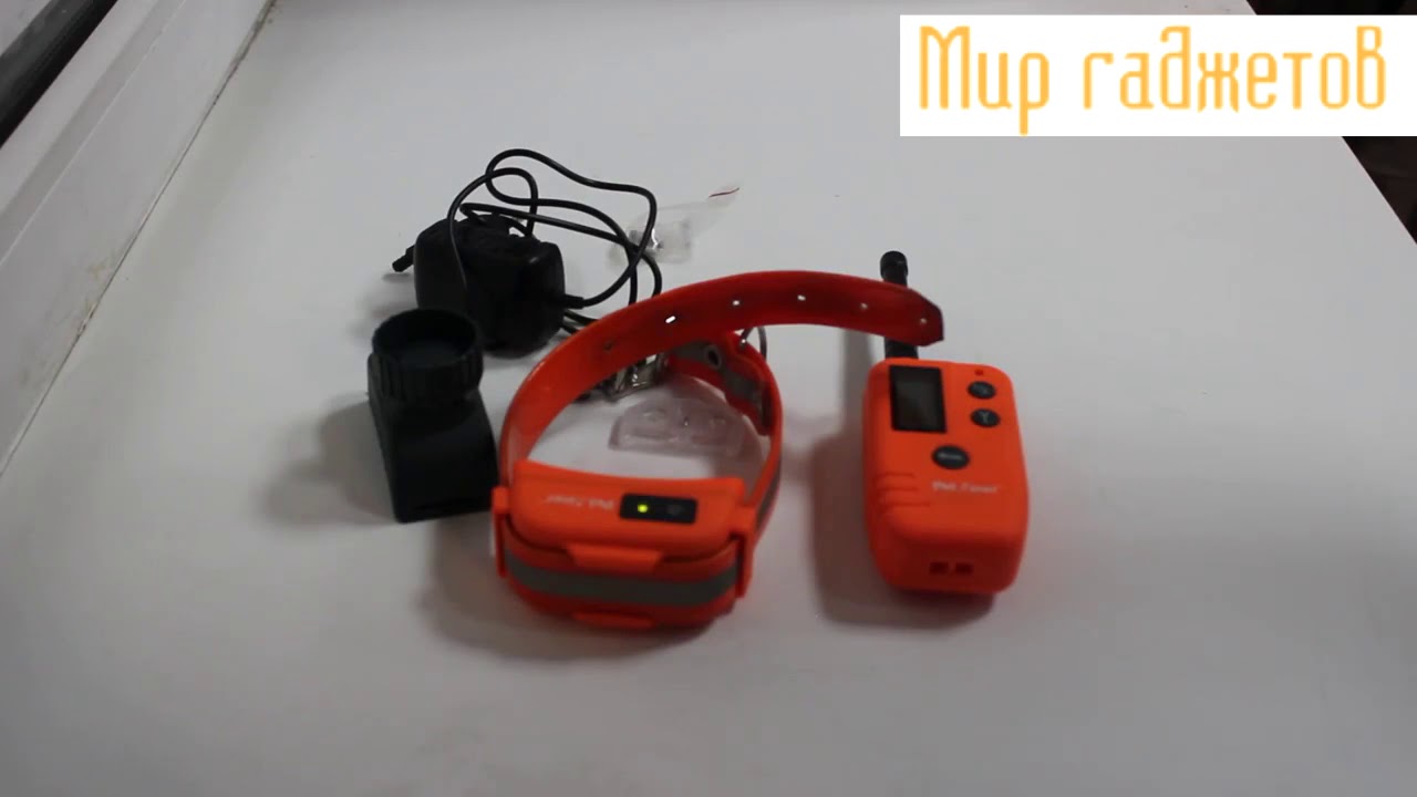 Электронный ошейник с бипером для охотничьих собак Petainer PET910