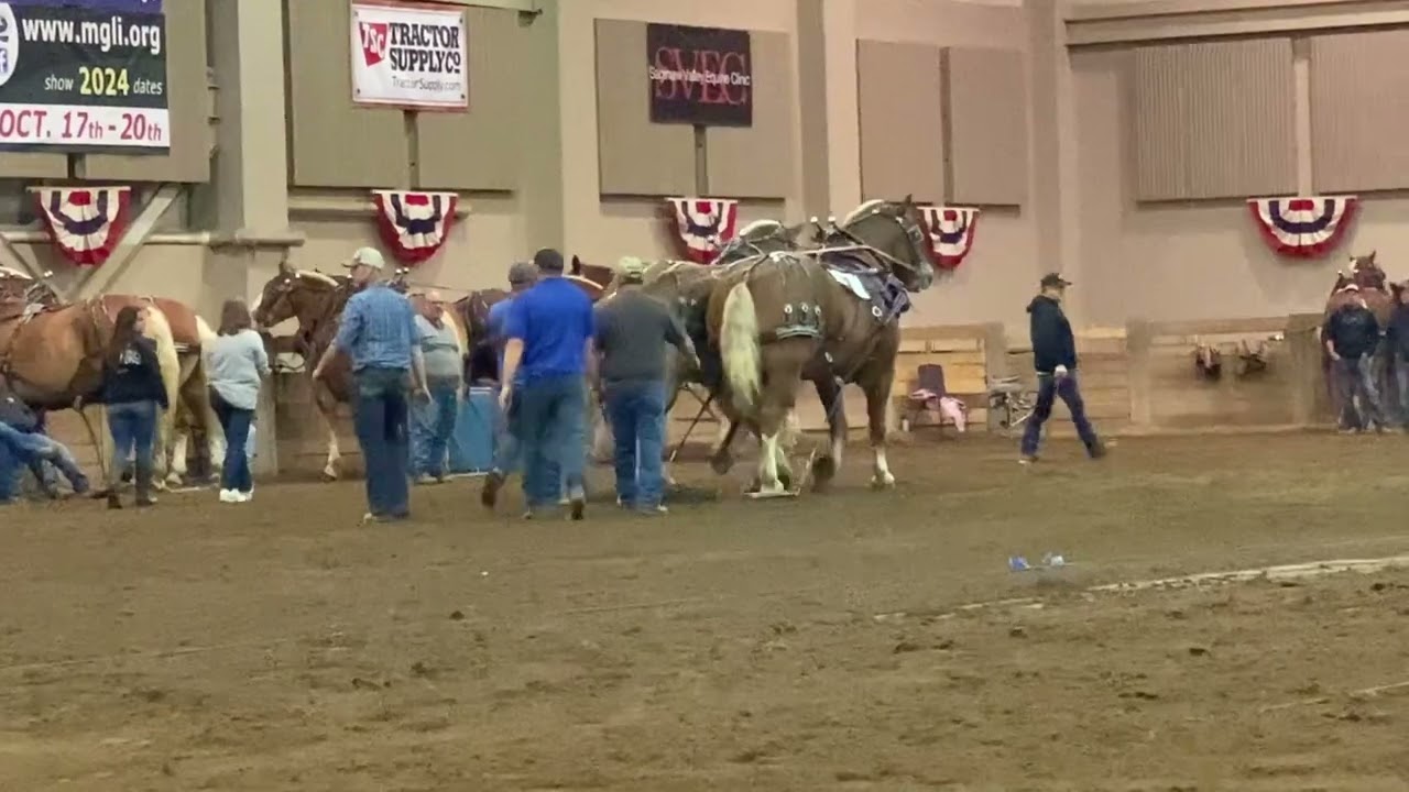 Michigan state university horse pulls 2023