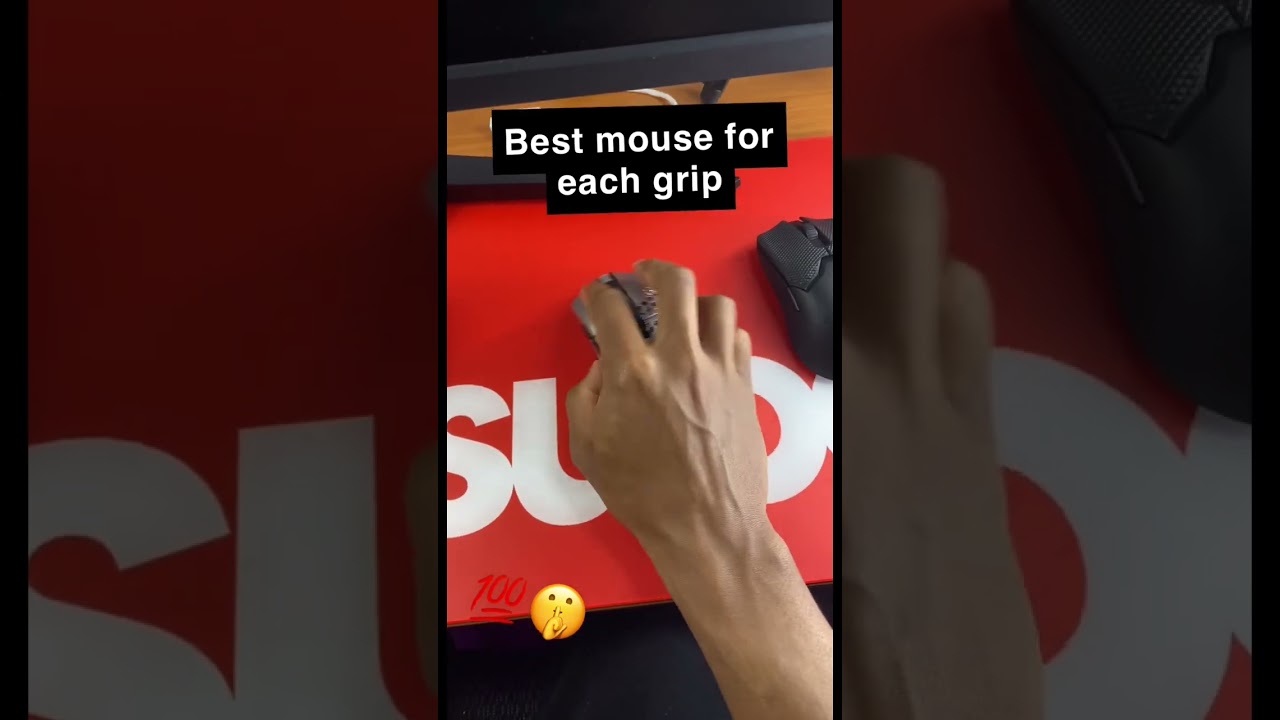Best mouse for each grip type *PALM, CLAW, FINGERTIP*