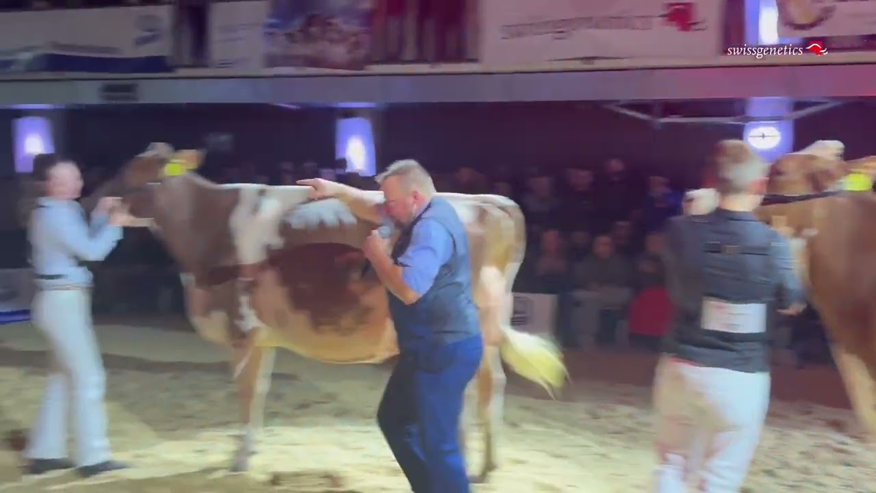 Schurtis Woodman GRAPEFRUIT an der Swiss Red Night 2024 in Burgdorf