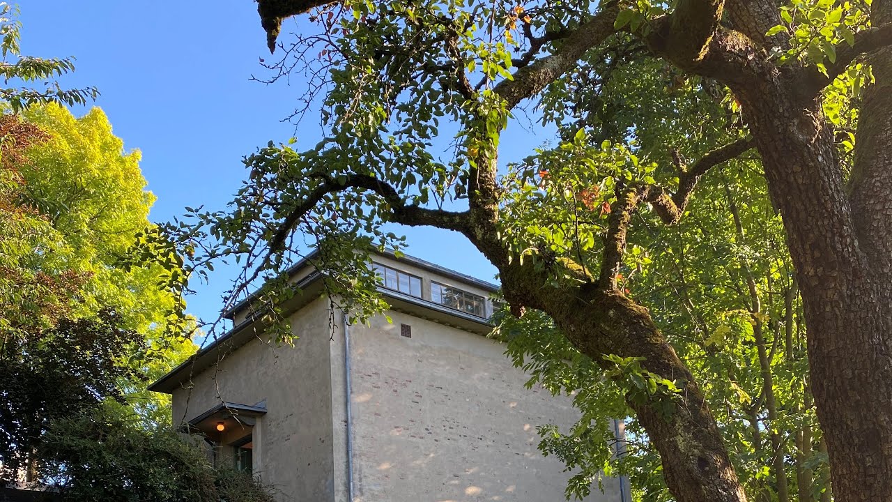 We bring Edvard Munch to you: Guided tour at Ekely