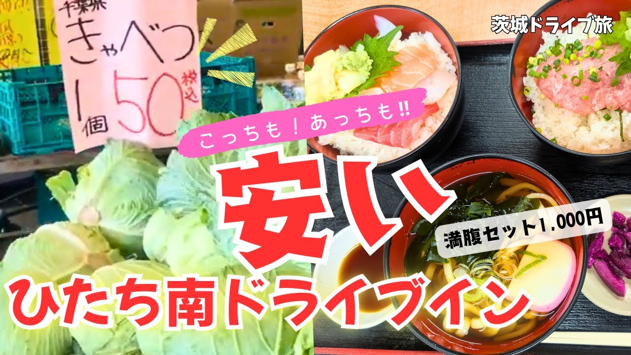 【茨城旅】キャベツ1玉50円!? 激安野菜を爆買い！水産会社直営の絶品海鮮丼！「ひたち南ドライブイン」が天国すぎた…