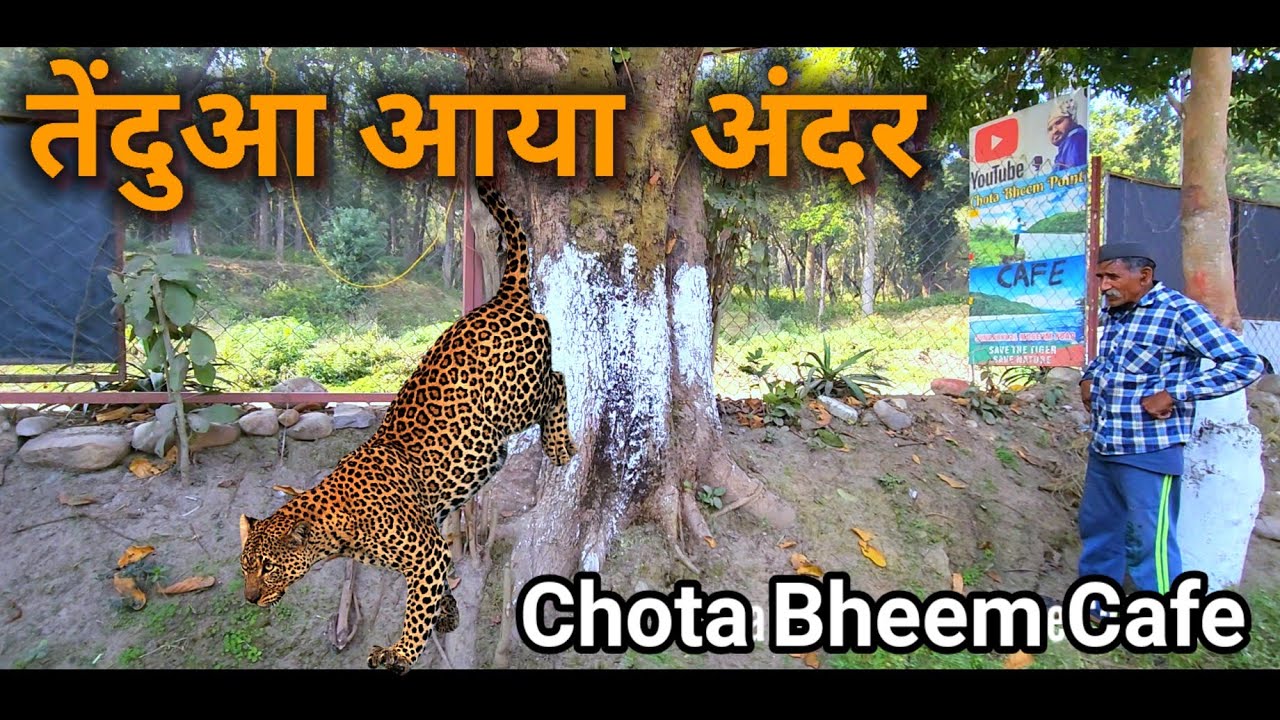 Leopard came down from the Cafe tree. रात मे आया तेंदुआ Chota Bheem Cafe