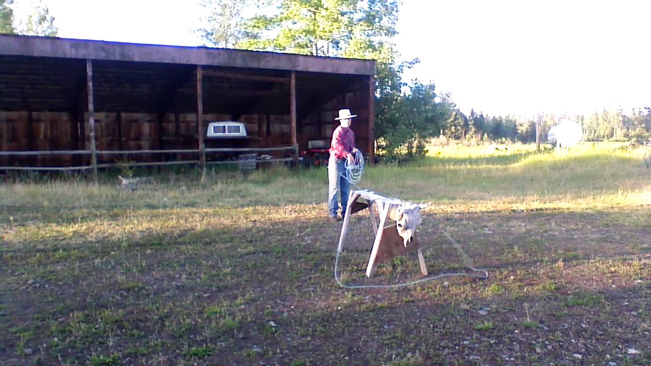 Ranch Roping Turn over shots