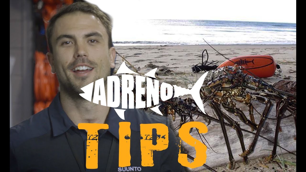 Catching Crayfish | ADRENO