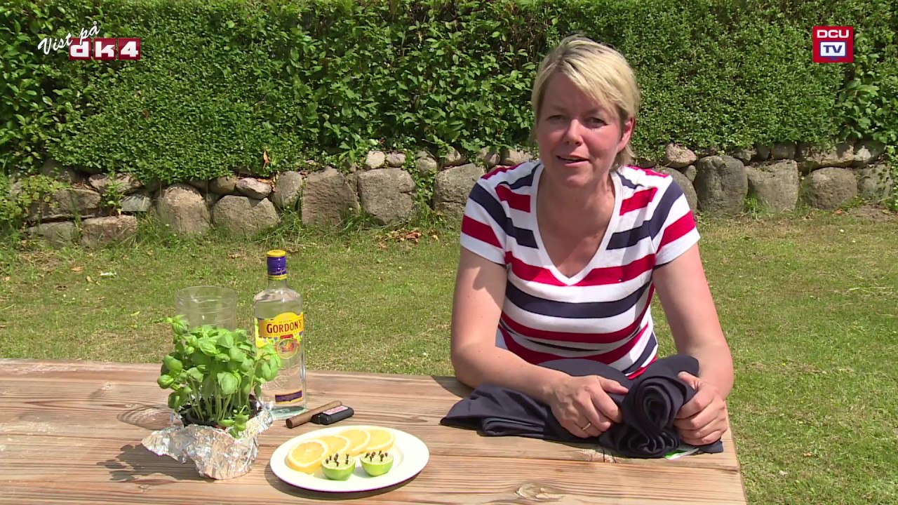 S&aring;dan undg&aring;r du myg p&aring; campingferie