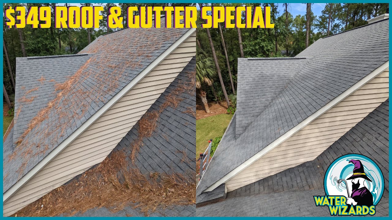 January 2023 Roof And Gutter Cleaning Promo