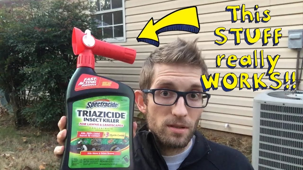 Spraying the 🌿 Exterior Perimeter with Spectracide 🐜 💀