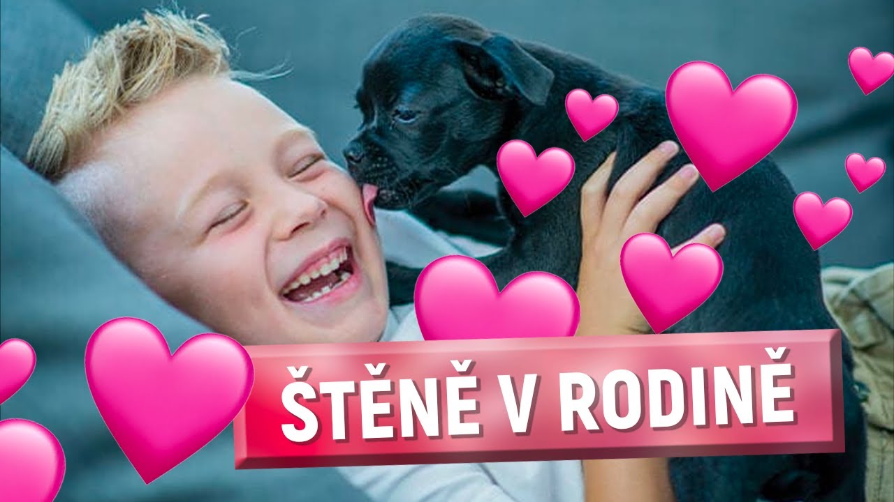 TAKHLE na něj musíte. A RADOST budou mít VŠICHNI!