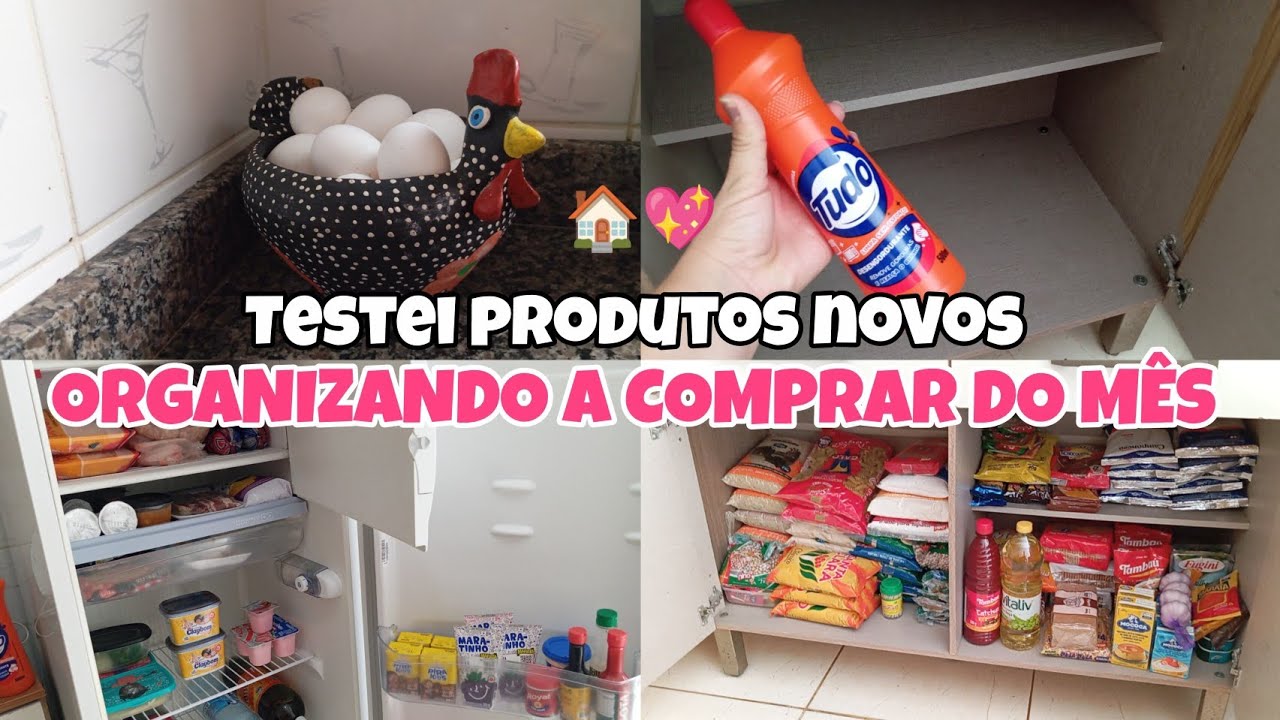 ORGANIZANDO A COMPRA DO MÊS/LIMPEZA NA GELADEIRA!
