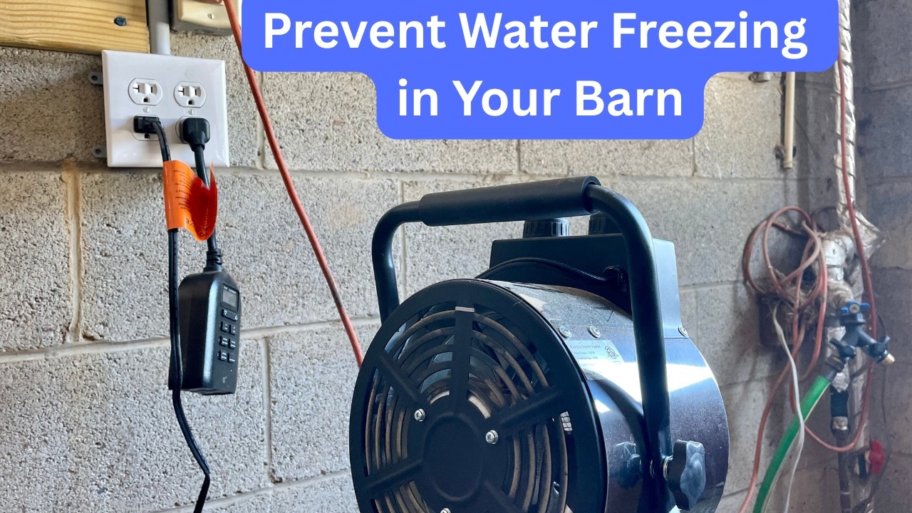 How to Prevent Water Freezing in Your Barn (Single-Digit Winters Survived!)