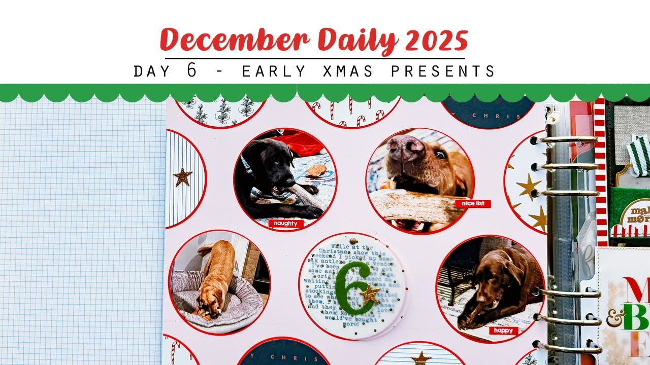 December Daily Day 6 I Early Christmas Presents for the Dogs!
