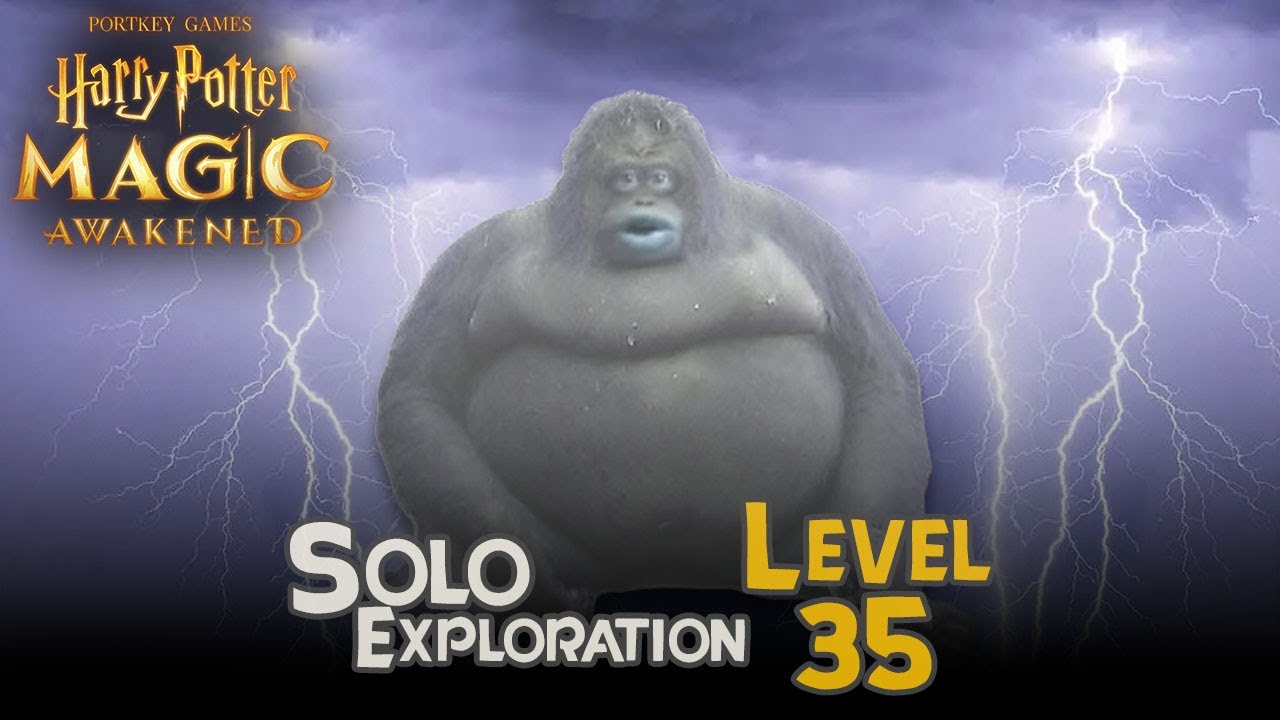 Harry Potter Magic Awakened : SOLO-EXPLO LV35 Guide