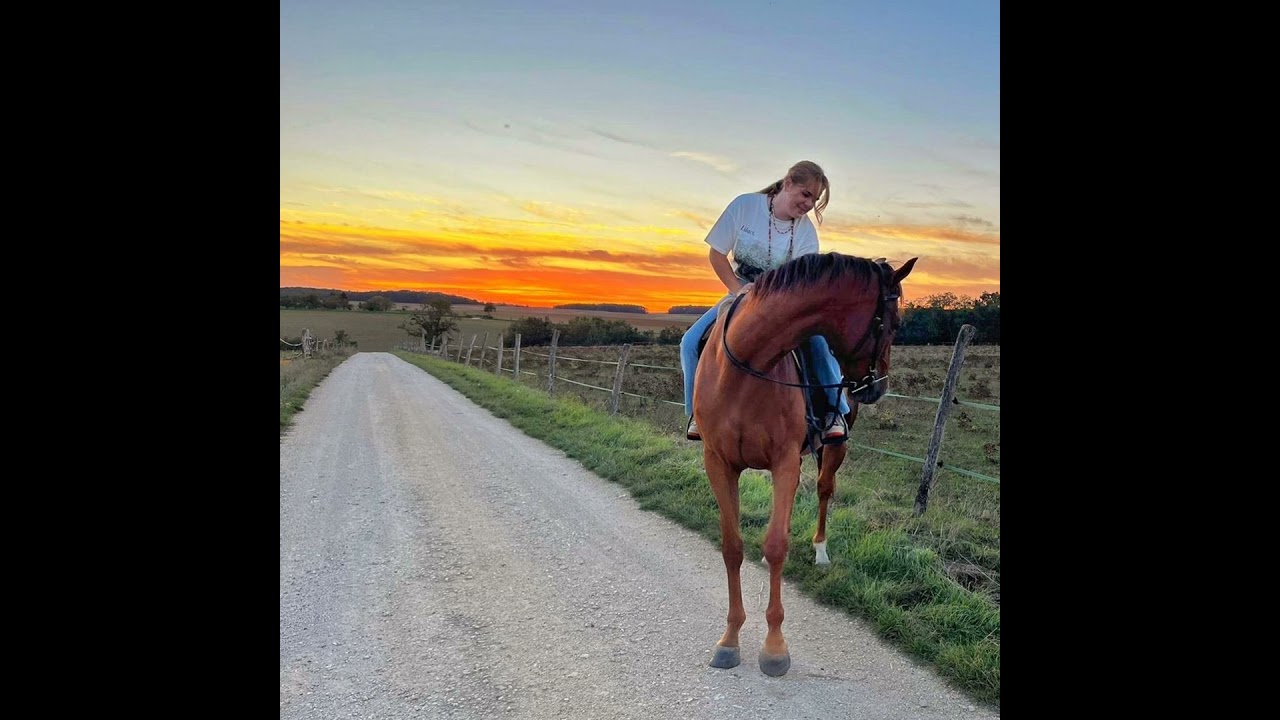 Travailler avec les chevaux en Australie - l'expérience de Morgane