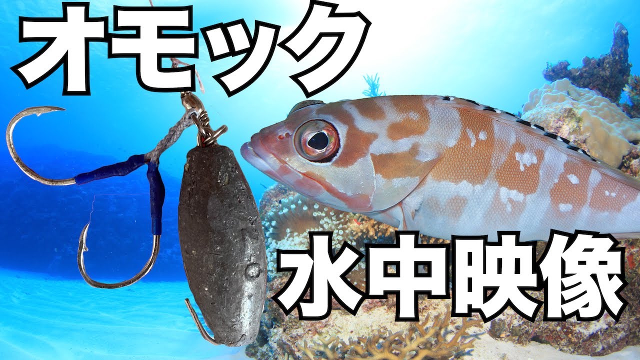 【オモック釣り水中動画】沖縄発仕掛けオモックの水中の動きを徹底観察