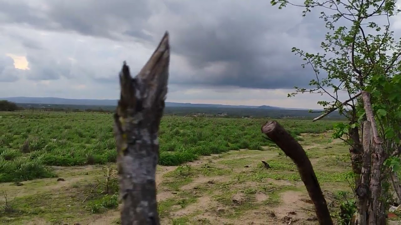 Tardezinha no interior 